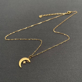 Moon & Star Necklace