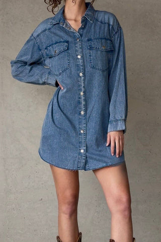 Daphne Fall Denim Dress