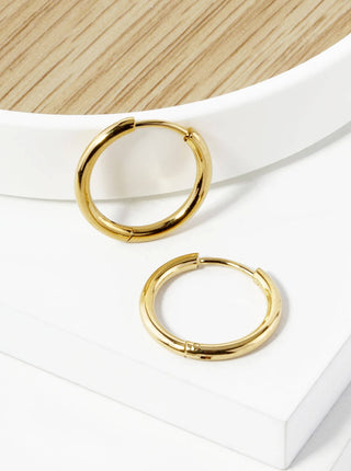 17mm Stainless Steel Huggie Hoop Earrings - Rise and Redemption