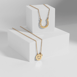 18" Stainless Steel Horseshoe Necklace - Rise and Redemption