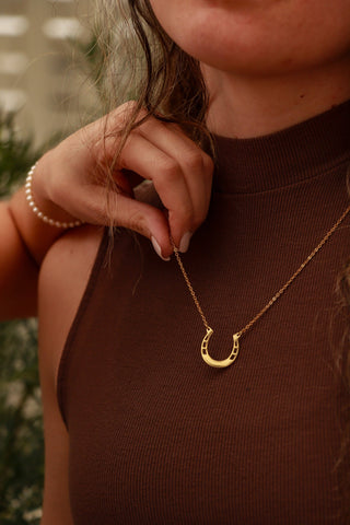 18" Stainless Steel Horseshoe Necklace - Rise and Redemption