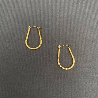18K Gold Plated Stainless Steel Hoop Earrings - FGS - Rise and Redemption
