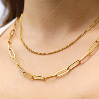 18K Gold Stainless Steel Dainty Curb and Paperclip Layered Chain Necklace