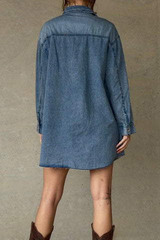 Daphne Fall Denim Dress