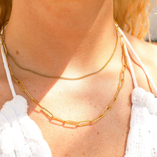 18K Gold Stainless Steel Dainty Curb and Paperclip Layered Chain Necklace
