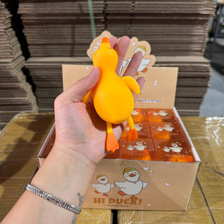 Squishy Silly Duck