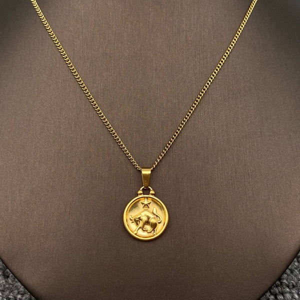 Zodiac 12 Constellation Coin Necklace