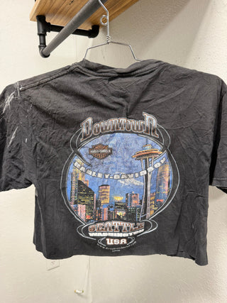 Asher Harley Tees Mediums - Rise and Redemption