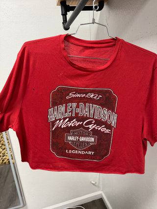Asher Harley Tees size Large 9-19 - Rise and Redemption