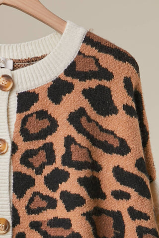 Bold Stripe and Leopard Cardigan - Rise and Redemption