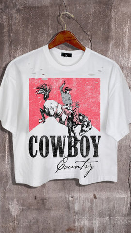 Cowboy distressed long crop - Rise and Redemption