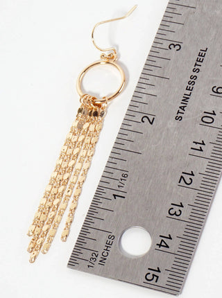 Delicate - chain Drop Polished Circle Dangle Earrings - Rise and Redemption