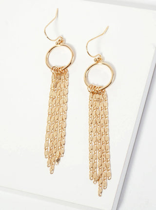Delicate - chain Drop Polished Circle Dangle Earrings - Rise and Redemption