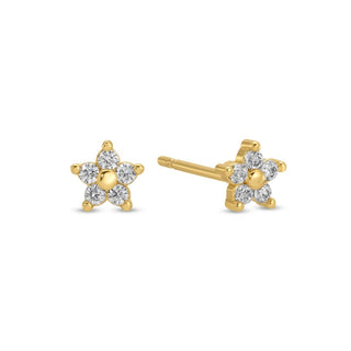 Delicate Flower Studs on Velvet Tag - Rise and Redemption