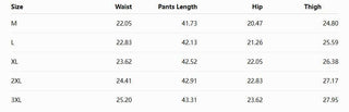 Leopard Wide Leg Elastic Waist Pants - Rise and Redemption