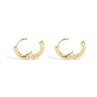 Mini Huggie Earrings - Rise and Redemption