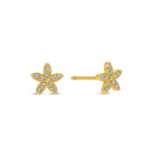 Pavé Flower Studs On Velvet Tag - Rise and Redemption