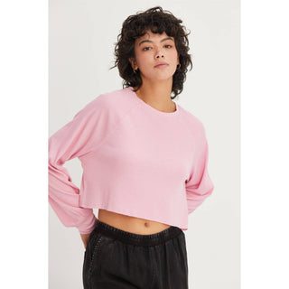 Raglan - Sleeve Crop Top - Rise and Redemption