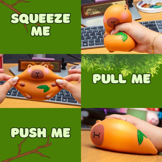 Squishy Stress Toy - Capybara - Novelty Fidget Squishies - Rise and Redemption