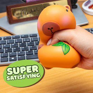 Squishy Stress Toy - Capybara - Novelty Fidget Squishies - Rise and Redemption