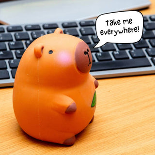 Squishy Stress Toy - Capybara - Novelty Fidget Squishies - Rise and Redemption