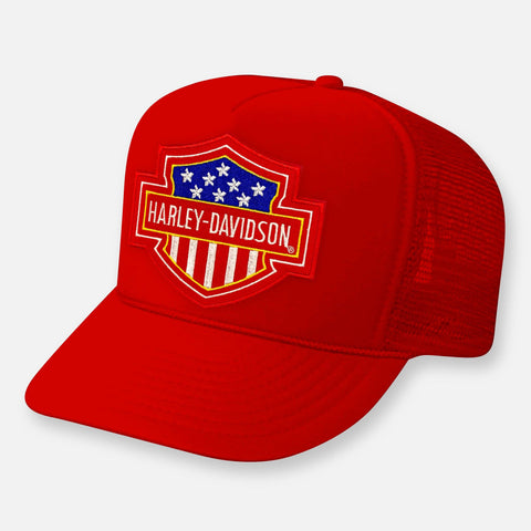 USA HAWG CURVED BILL PATCH HAT - Rise and Redemption